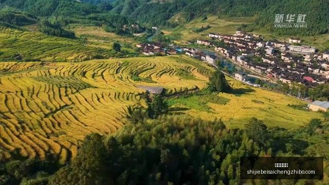 杨德龙点评,市场风格频,繁切换,幸运五分彩,五分彩开奖,彩票游戏,五分彩走势,购彩大厅